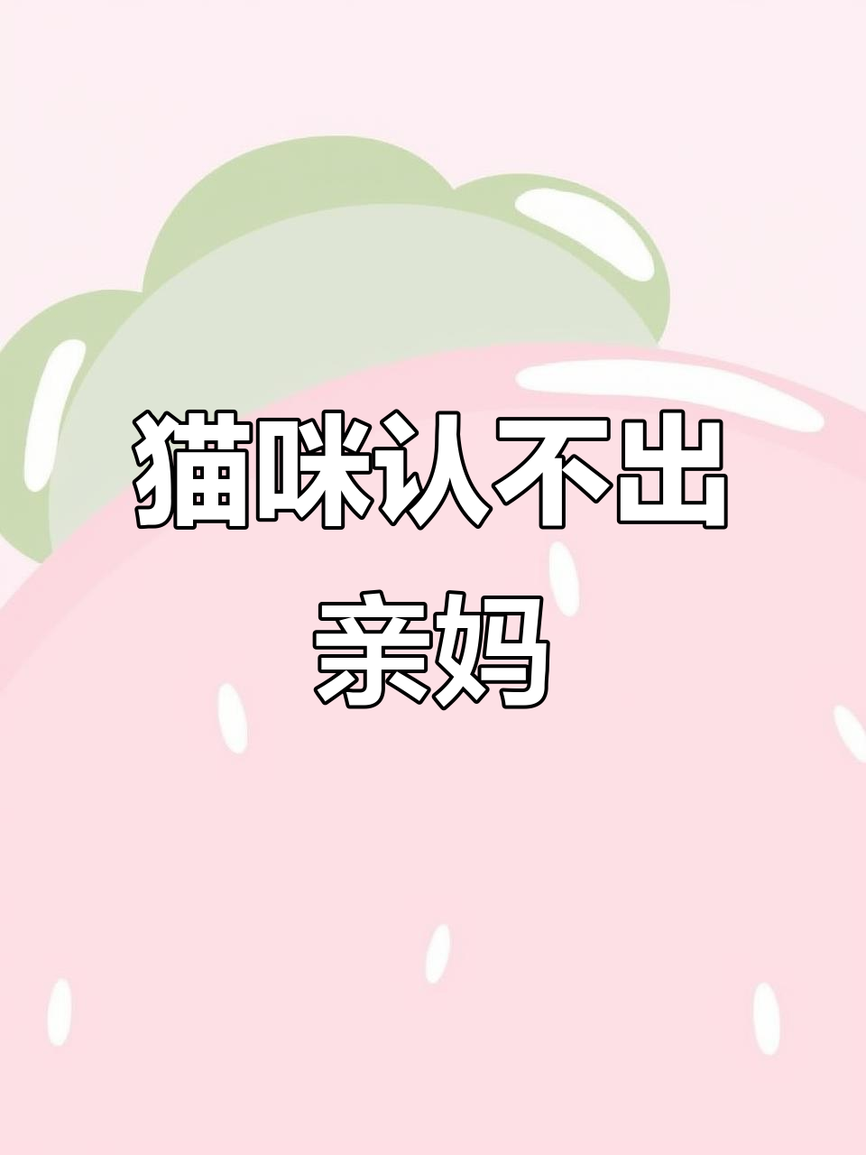 猫宝宝认错妈妈,奶盖和年糕的搞笑反应