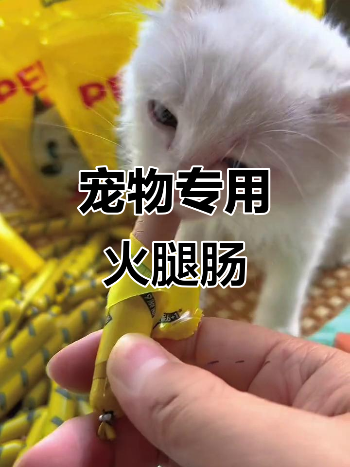 春节必备宠物火腿肠，鸡肉牛肉配方更健康