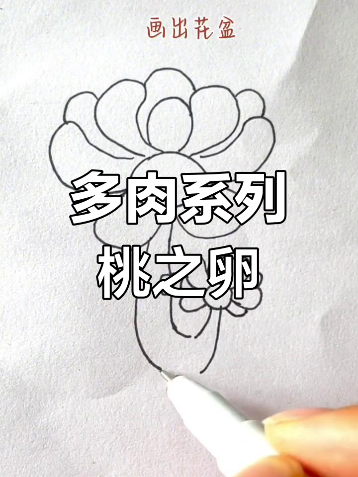 轻松学会多肉植物简笔画,桃之卵超简单!