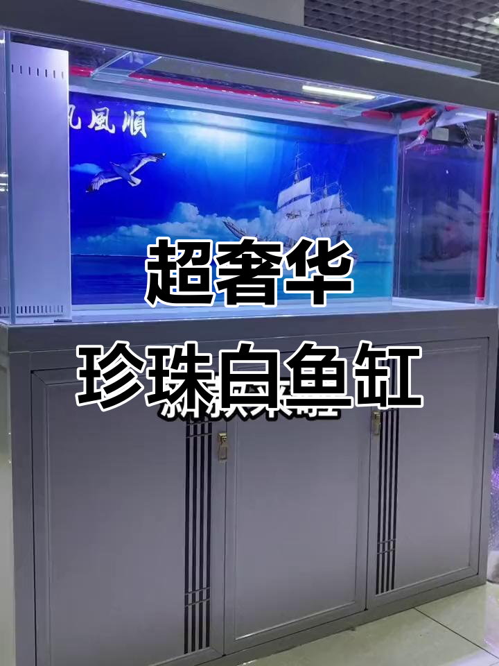 珍珠白超豪华鱼缸,钛镁合金框架与金晶玻璃完美结合