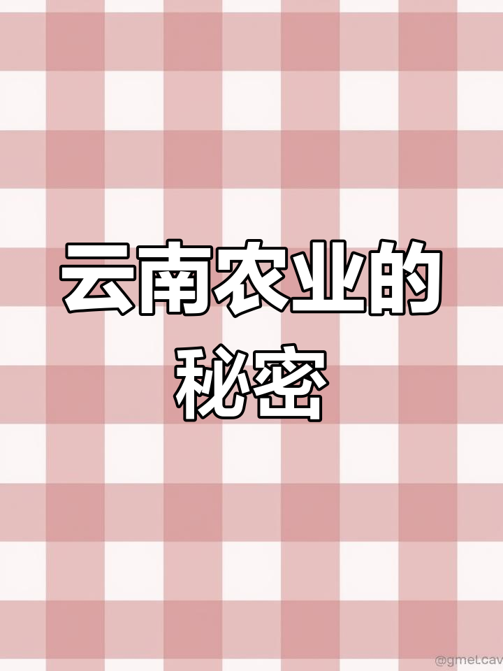 云南蔬菜为何能称霸全国?这些优势让种植者羡慕不已
