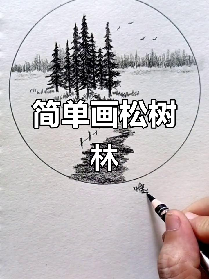 松树林素描,零基础也能轻松上手