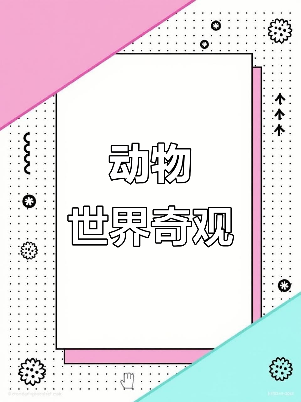 黄鼠狼捕海鸥,海豚与鸟合作捕鱼,自然界的奇妙瞬间!