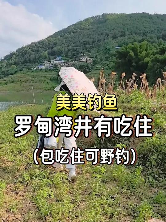 罗甸有吃住的钓点来了!快收了 老坛甜薯 美美钓鱼 CanFish canfish水下摄像机