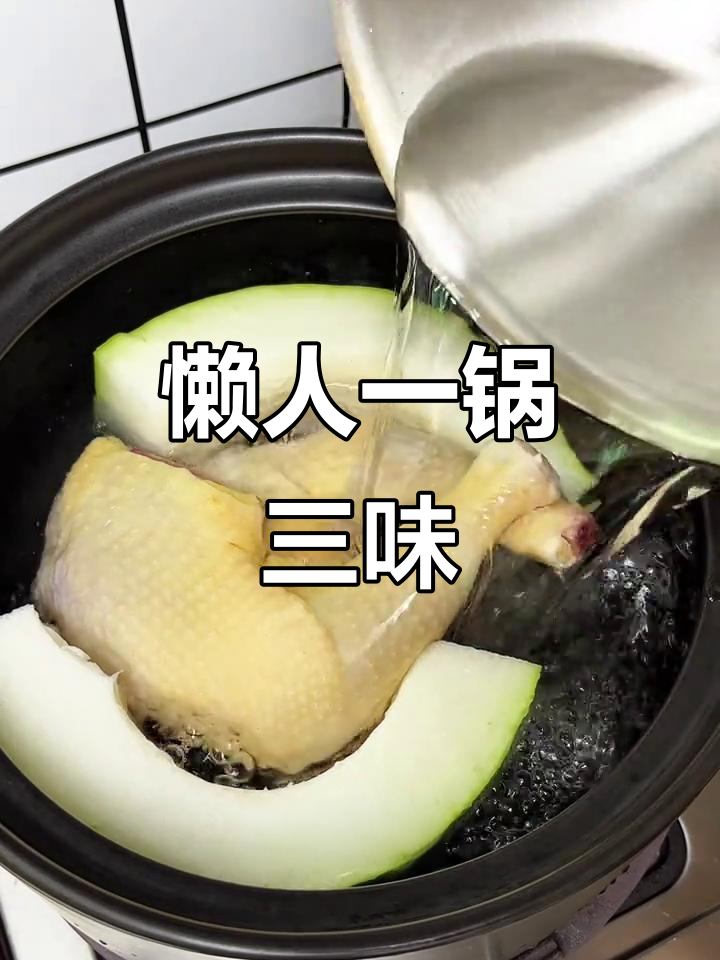 一锅炖出美味,冬瓜汤鲜美,手撕鸡嫩滑,真是懒人必备!