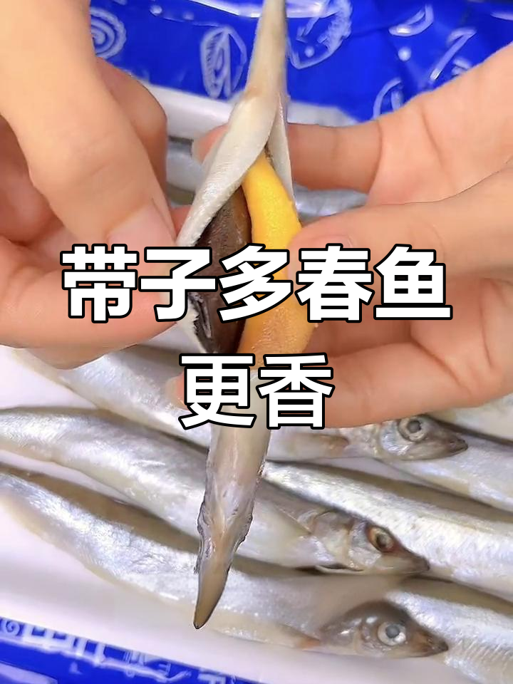 多春鱼带籽更美味,鲜嫩营养全都有