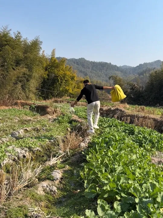 今天的生活值得被记录