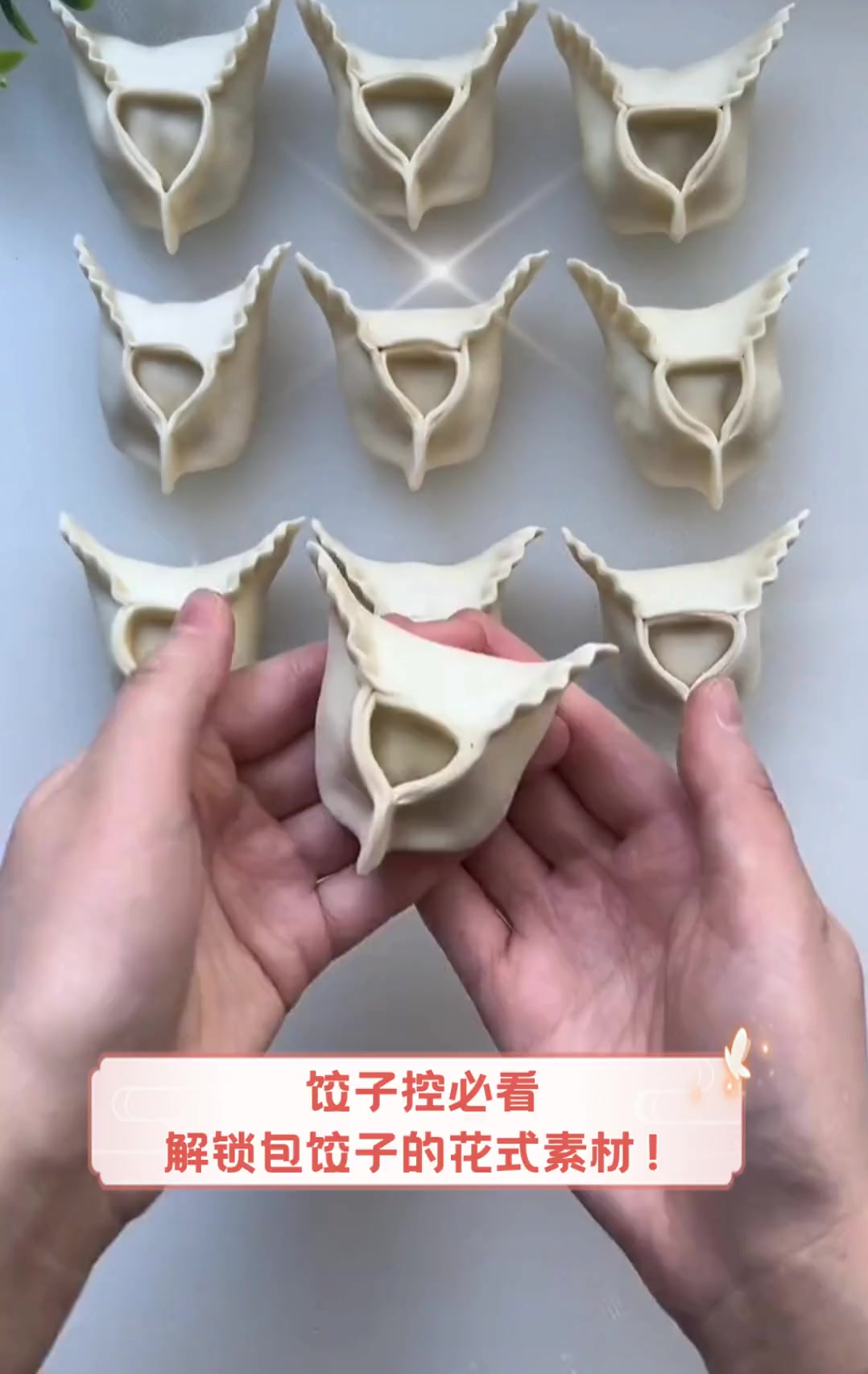 饺子控必看,解锁包饺子的花式素材!