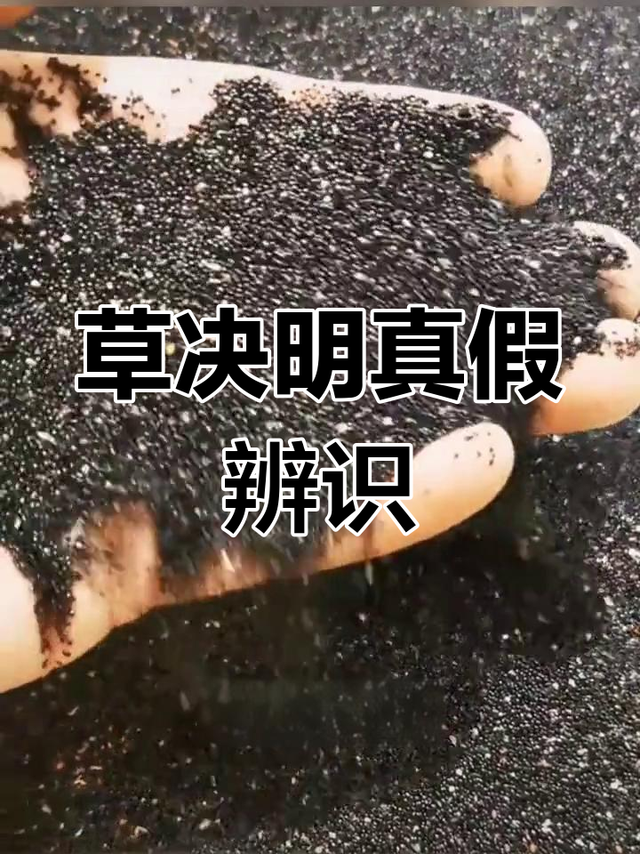 青葙子与鸡冠花外观相近,易混淆,购买时需谨慎辨别