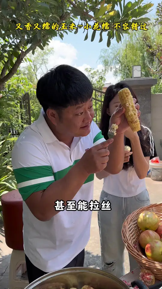 又香又糯!云南老品种非转基因小花糯玉米现摘直供