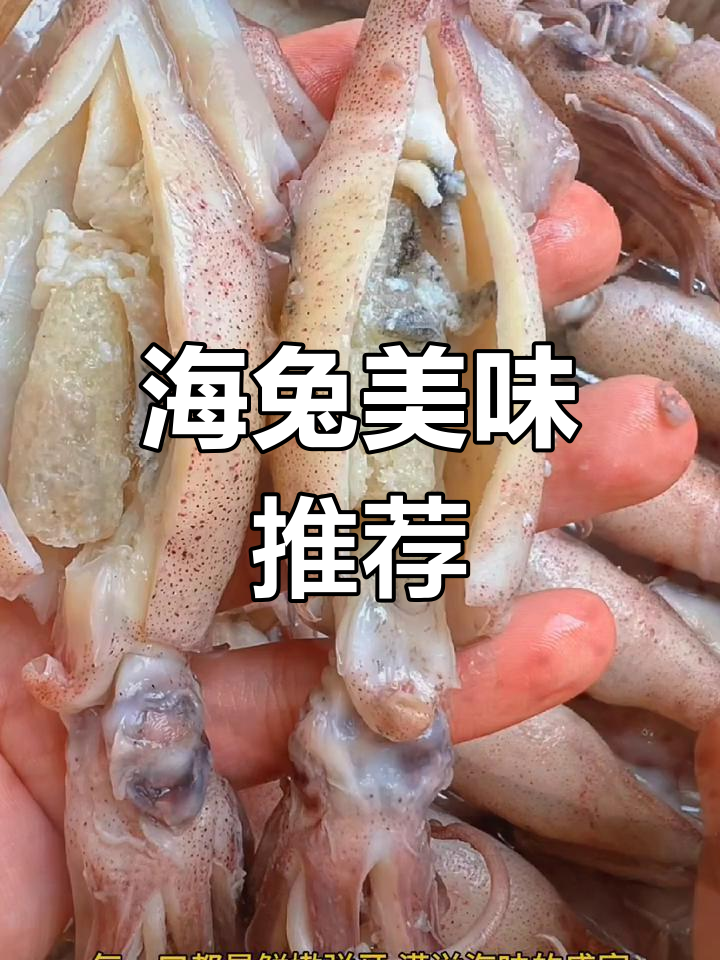 爆炒海兔子,鲜美带籽,海鲜控必试!