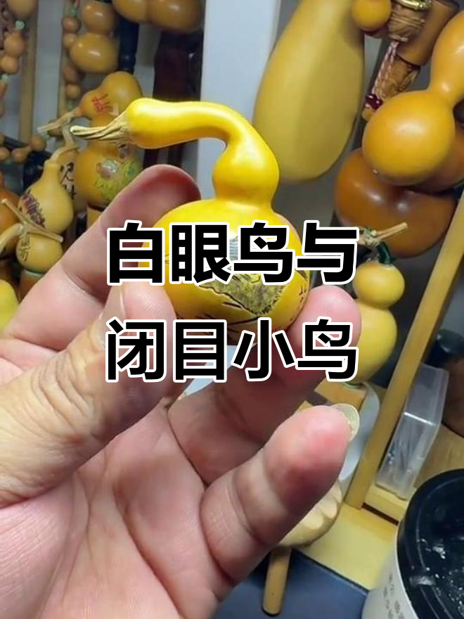八大山人笔下的白眼鸟,目中无人又闭目养神