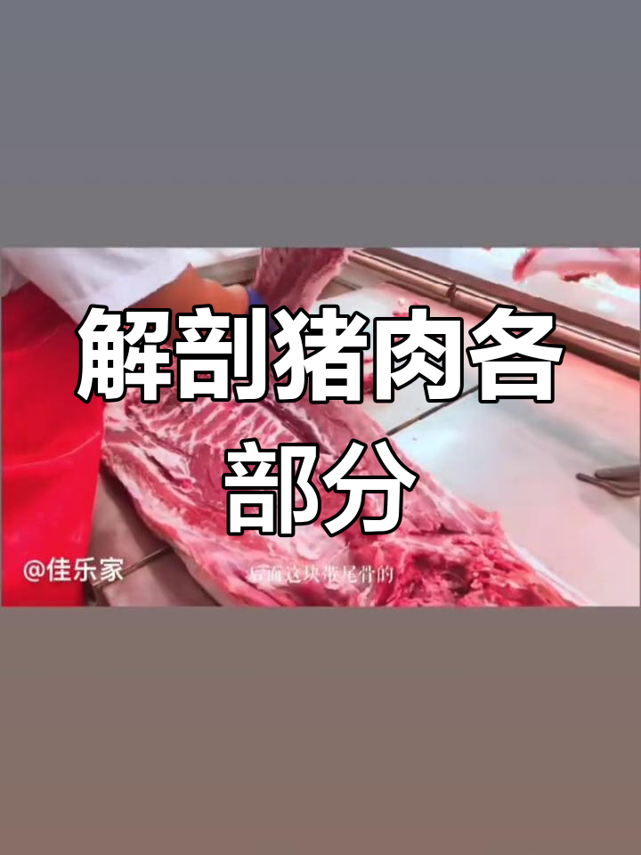 猪肉部位解析,你了解吗?