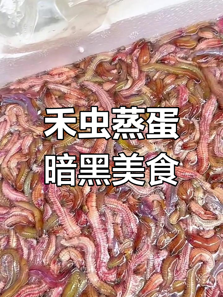 广东禾虫蒸蛋,黑暗料理的独特美味