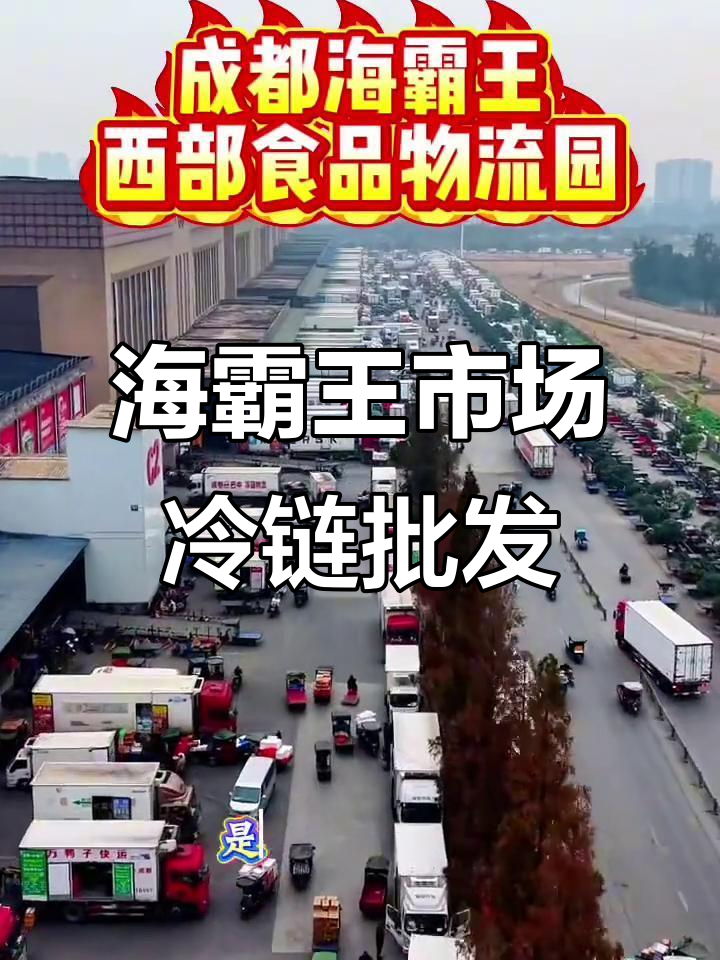 成都海霸王市场:西部冷链物流中心,火锅食材批发基地