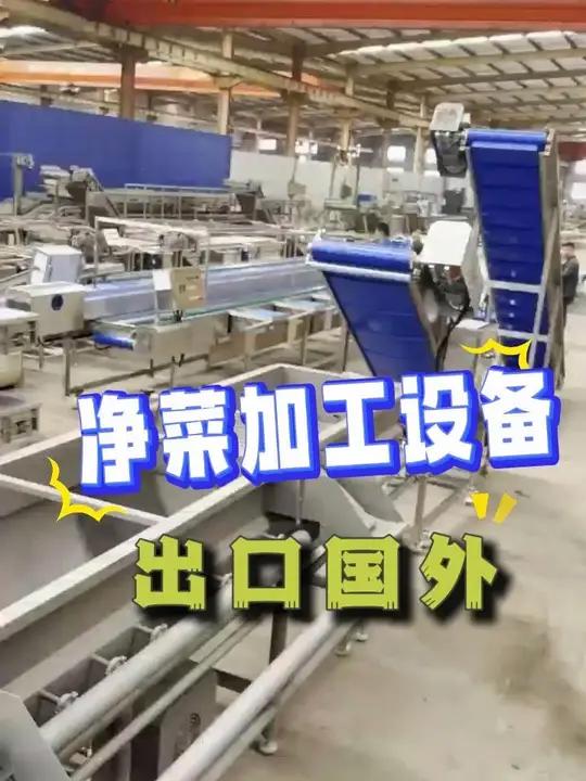 三大柜净菜加工设备发往国外,高效节能,自动化程度高 净菜加工设备 净菜加工流水线 涡流清洗