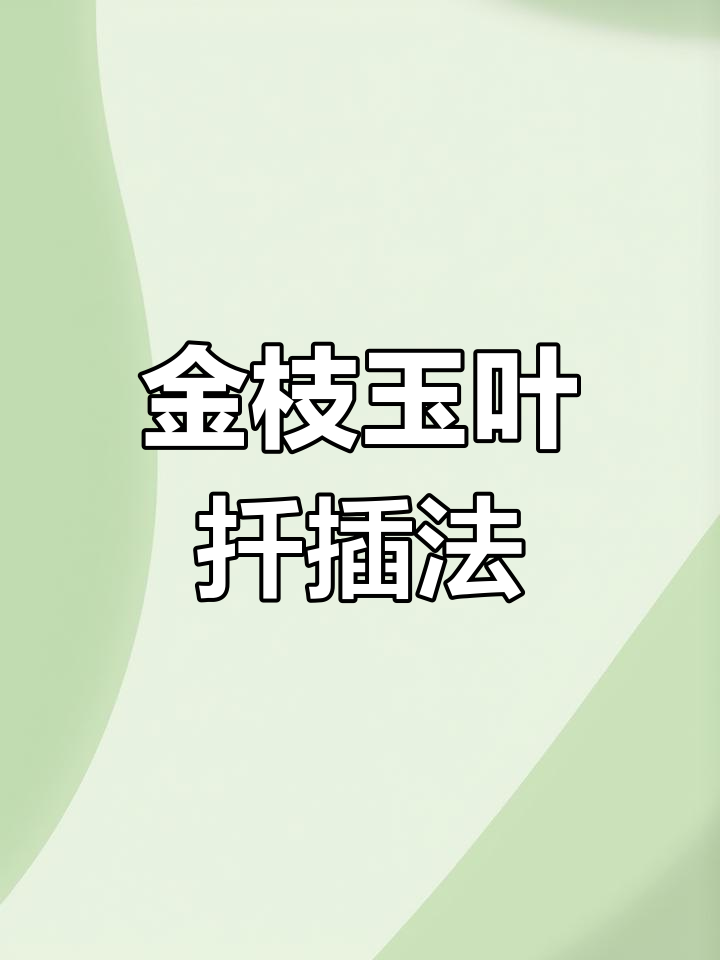金枝玉叶扦插技巧,轻松繁殖枝条