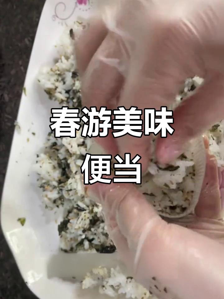 春游必备,女儿最爱:吞拿鱼饭团与紫菜包饭