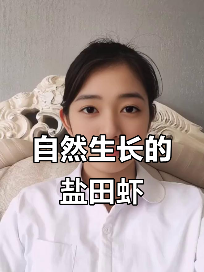 大连盐田虾：无激素、低密度养殖，健康又美味