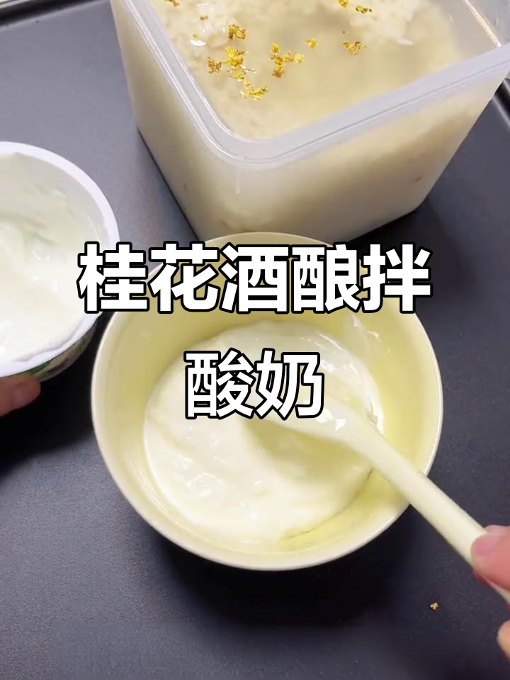 酒酿酸奶搭配红豆小汤圆,口感超赞!