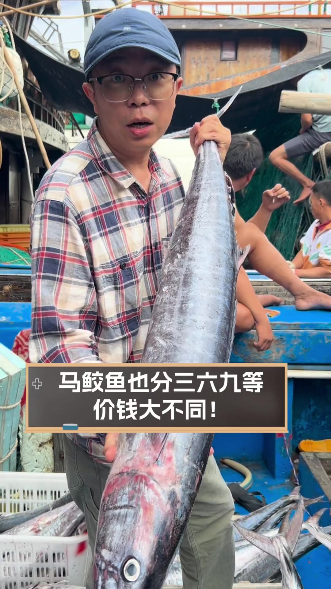 马鲛鱼也分三六九等,价钱大不同!