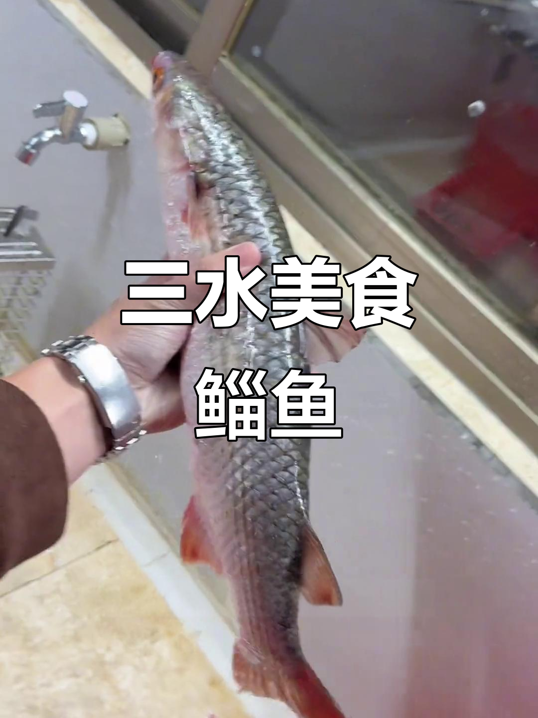 从三水河口到餐桌的鲻鱼与黄油鲚,美味尽享
