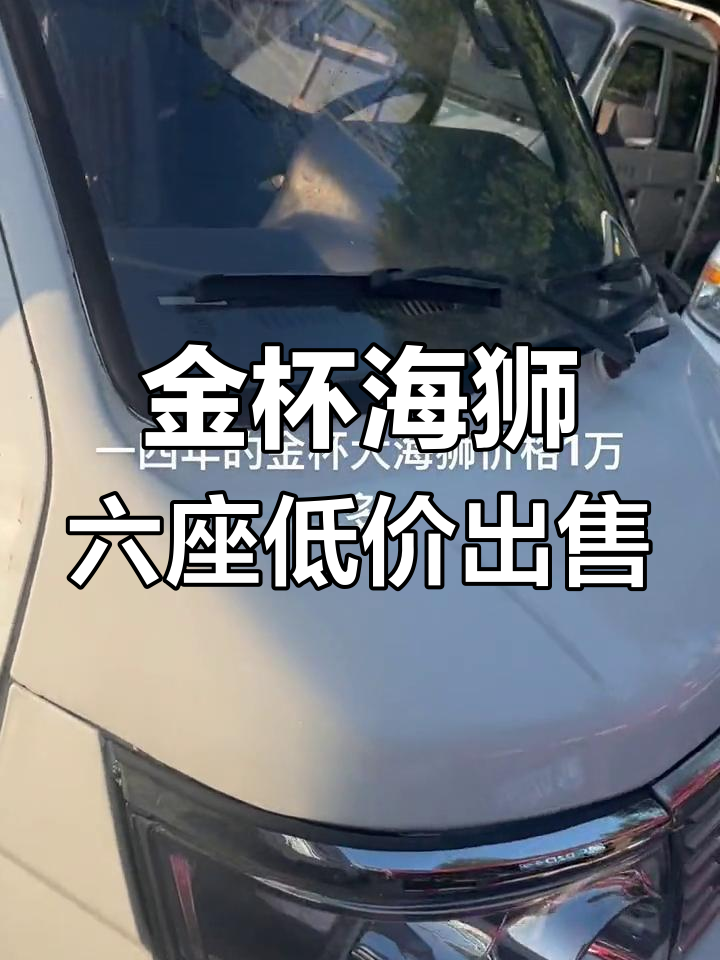 2014年金杯海狮六座,车况良好价格实惠