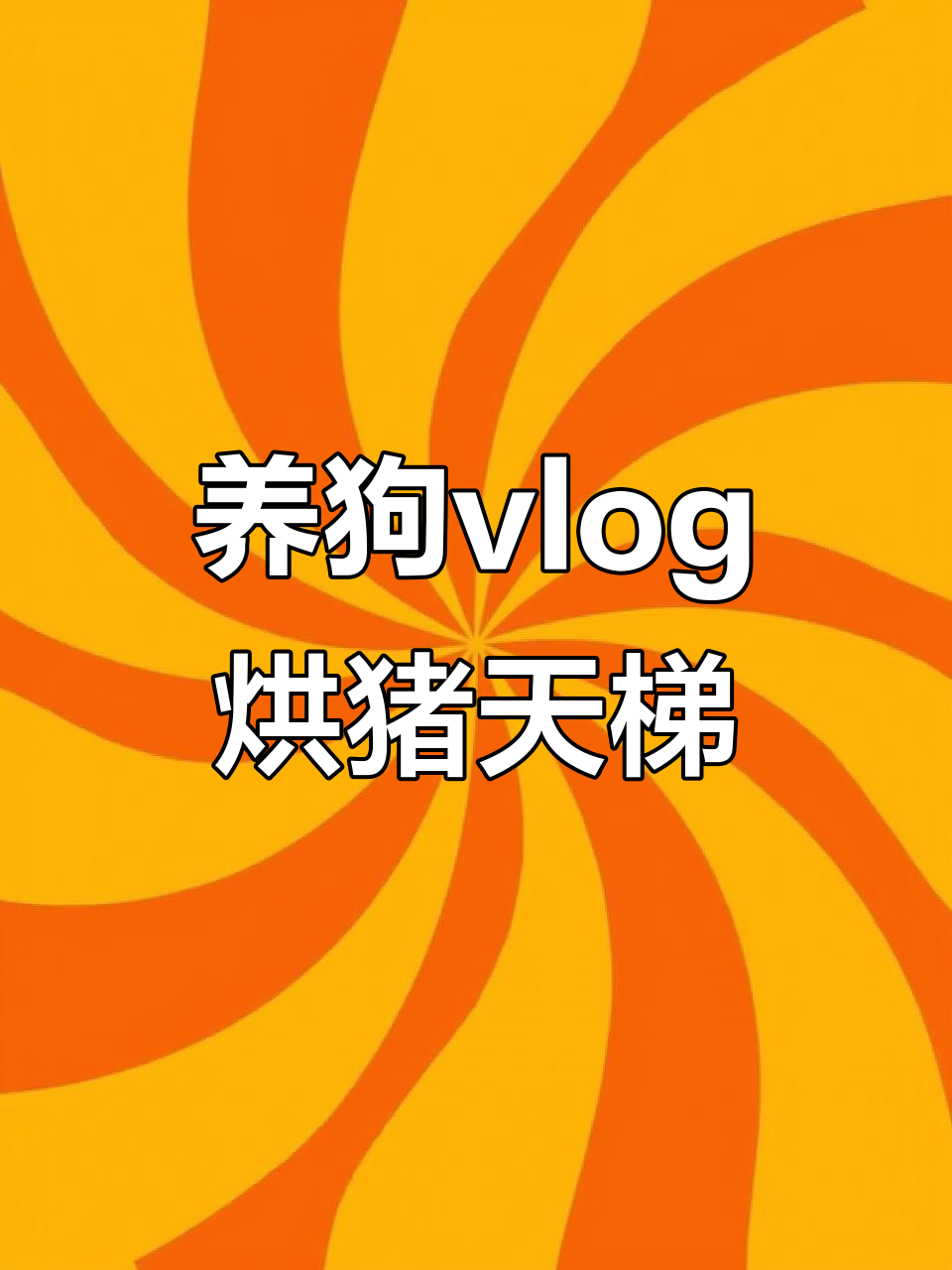 95后养狗日常:第一次烘干猪天梯,结果翻车了?