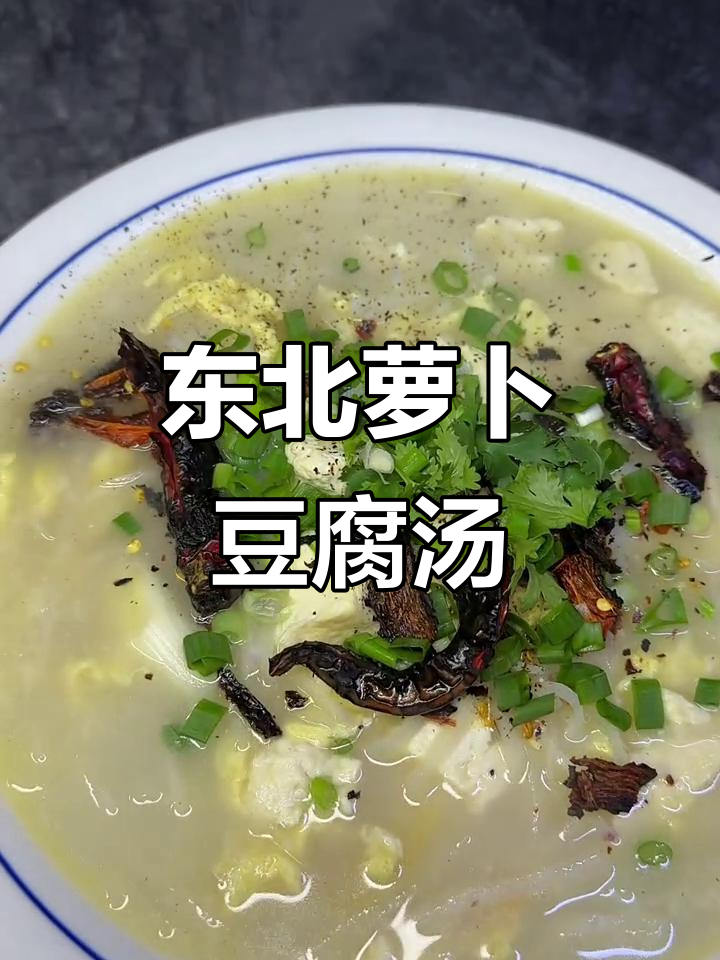 东北家常萝卜条豆腐汤，热腾腾的温暖味道