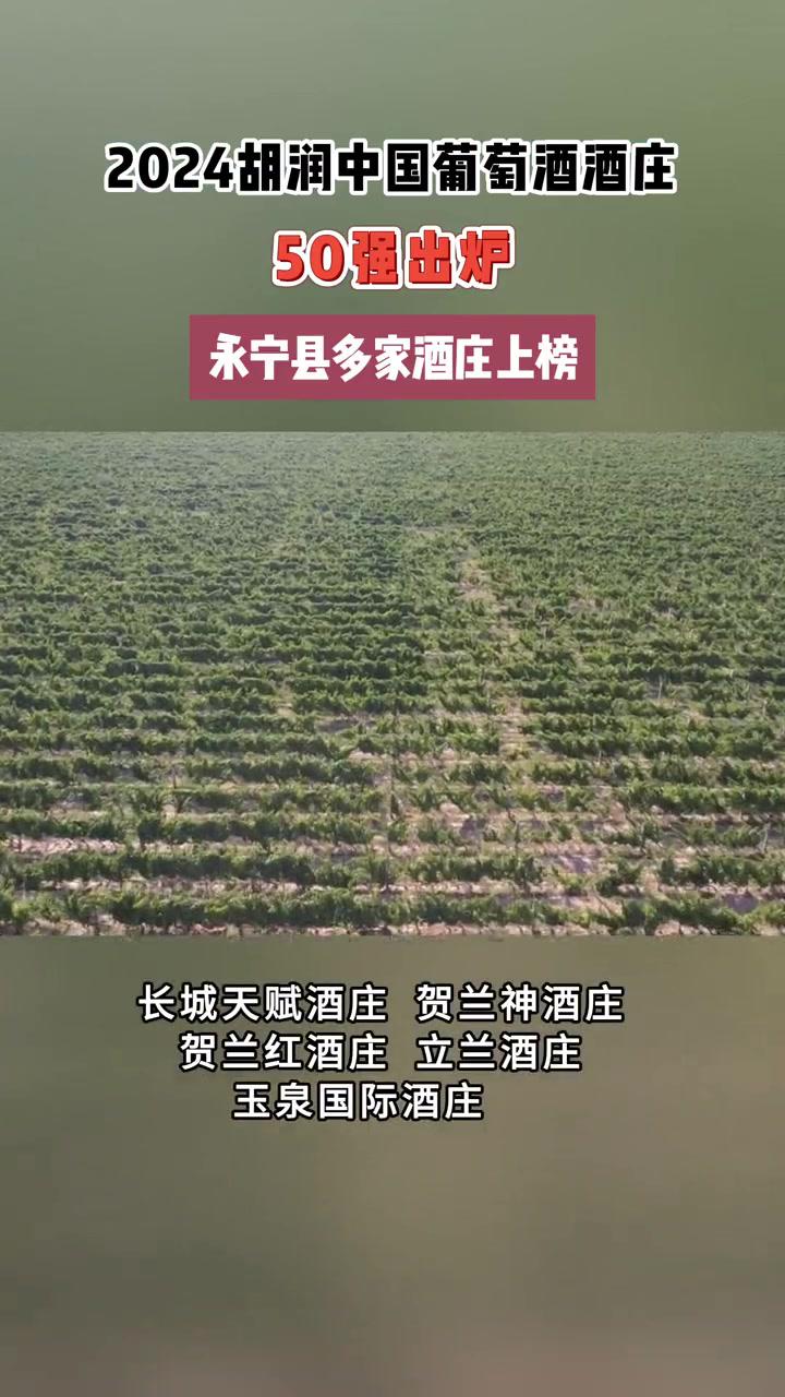 《2024胡润中国葡萄酒酒庄50强》出炉!永宁县多家酒庄上榜 葡萄酒 酒庄 永宁县