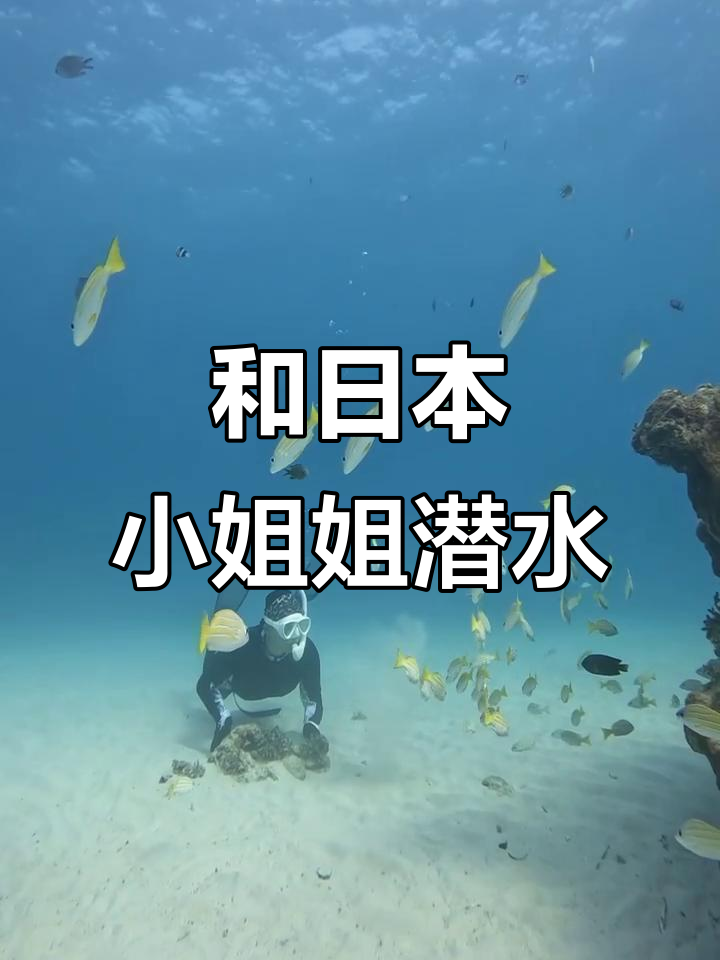 冲绳潜水之旅,和日本小姐姐一起探索海底世界