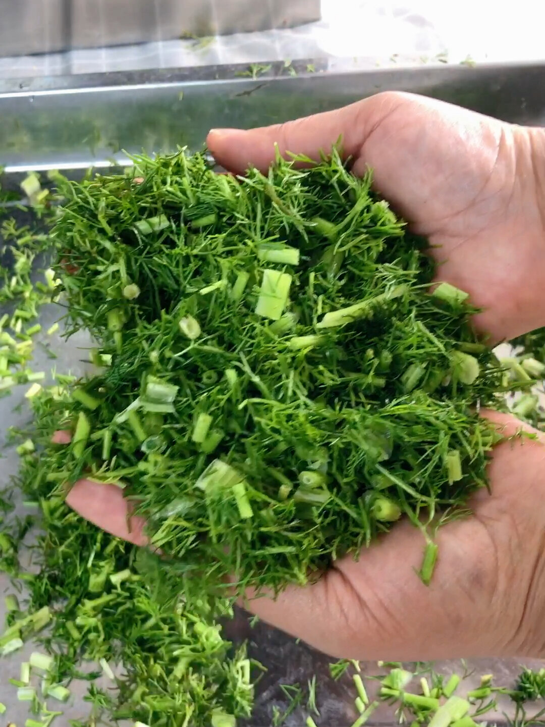 多功能小型切菜机 家用商用全自动切丁机