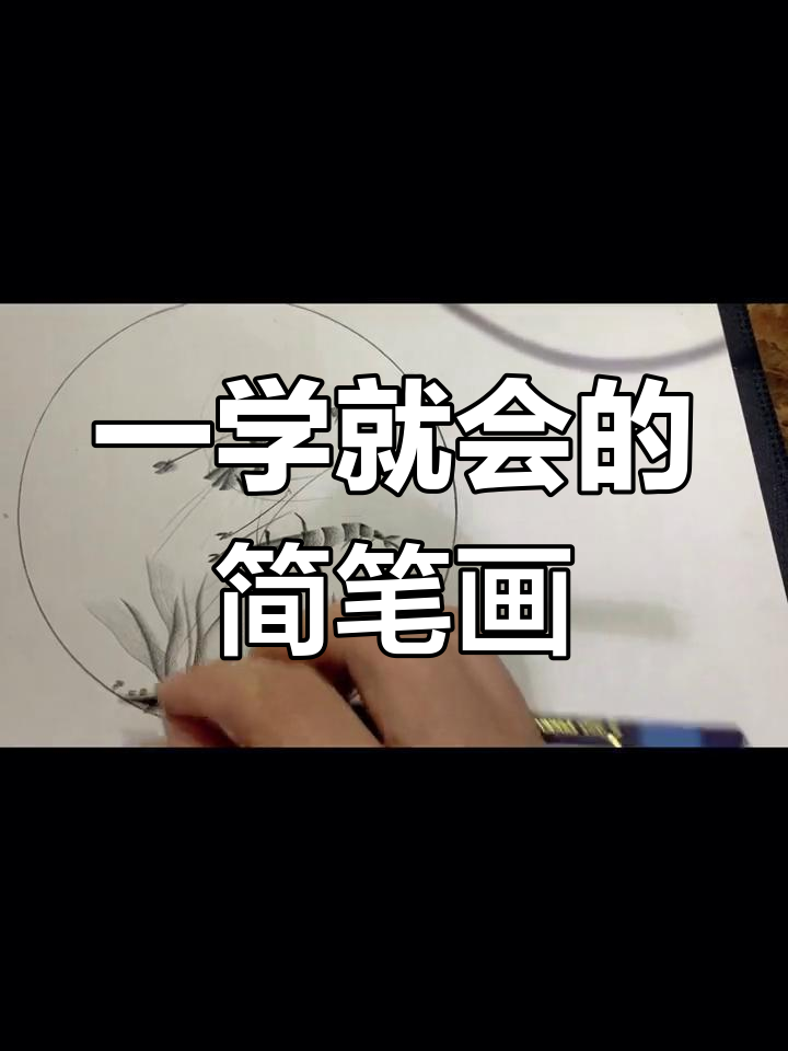简单黑白线描虾画教程