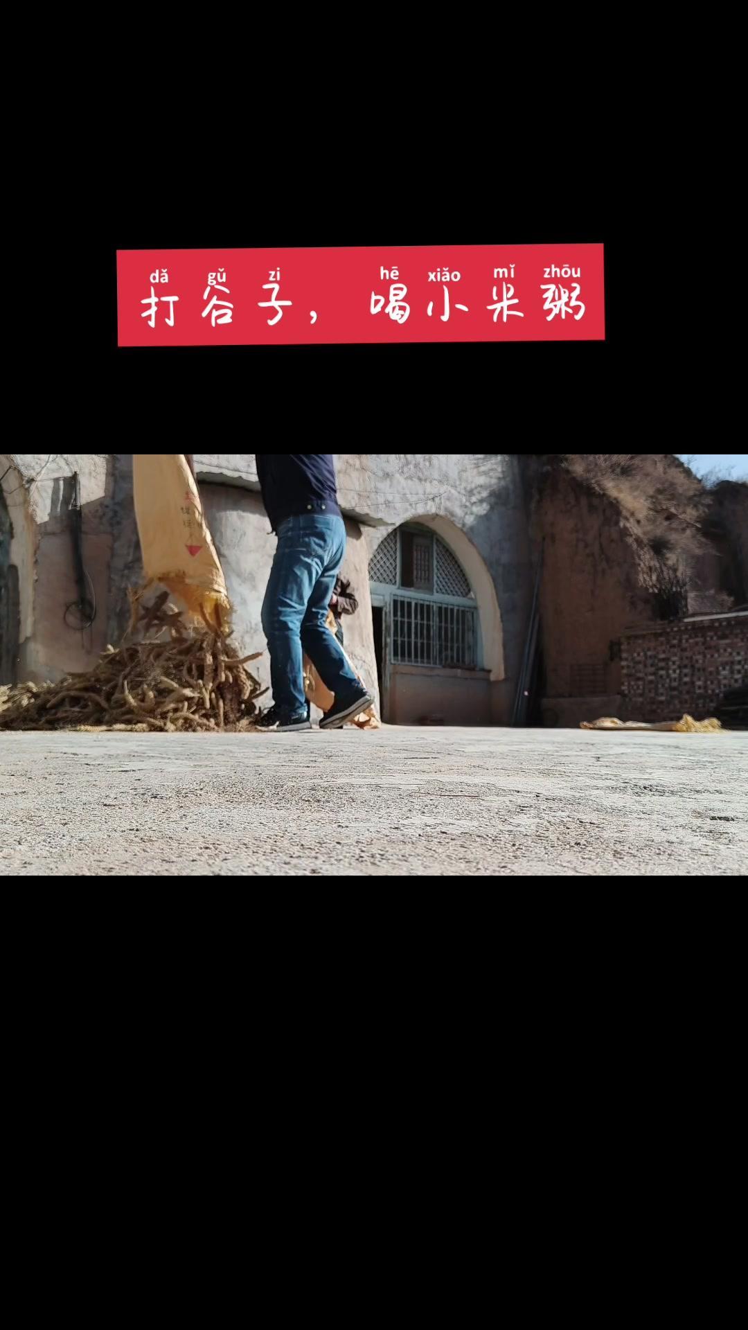 打谷子,喝小米粥 农村 小米 谷子