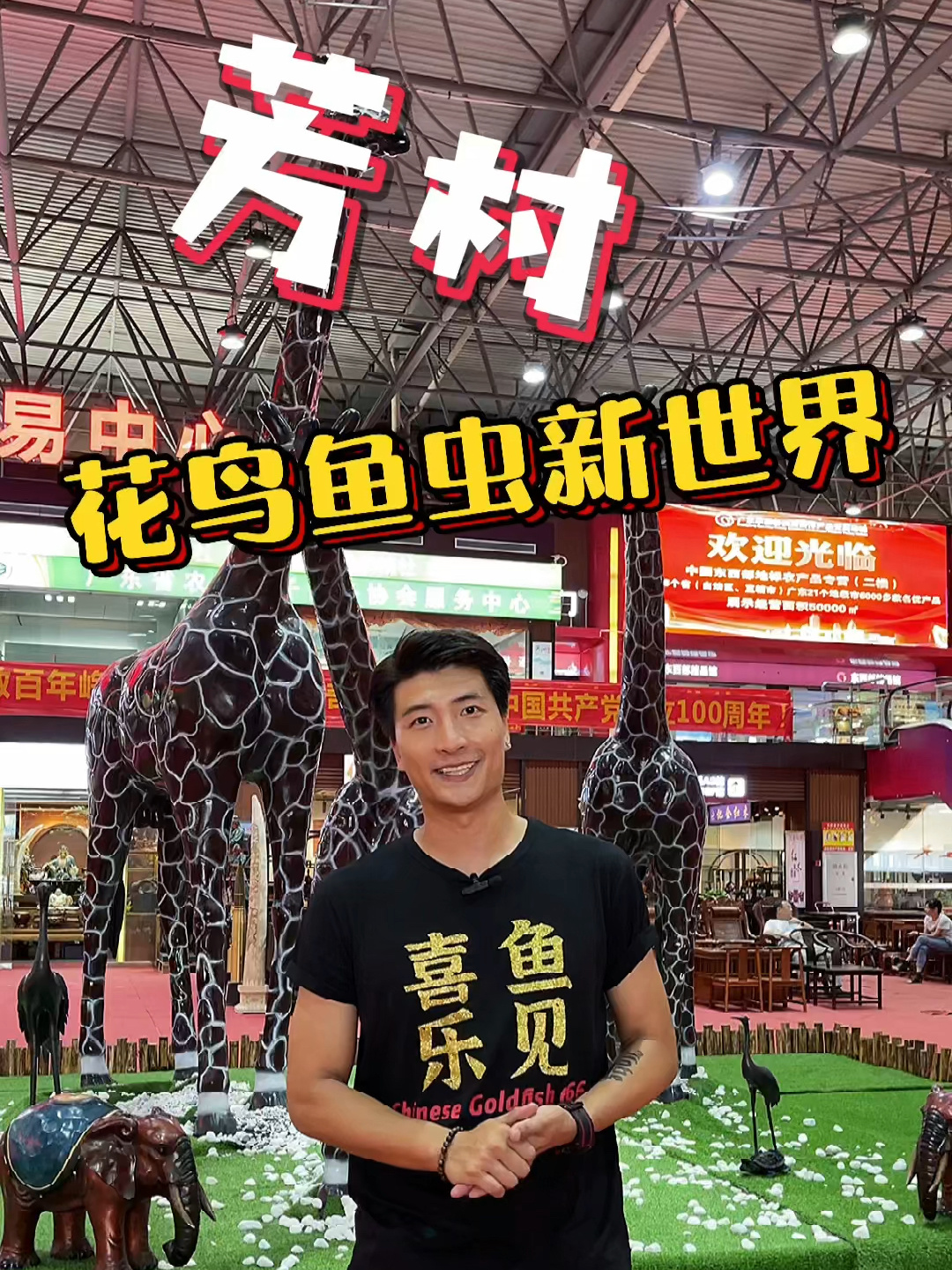 广州全新的花鸟鱼虫市场 你们打卡了没?