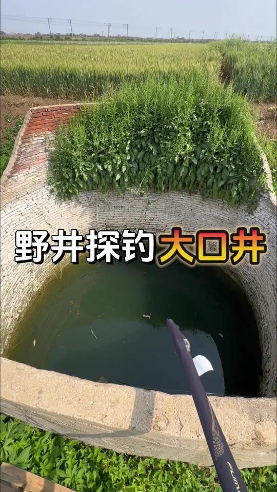 探钓荒野大井 大爷给咱说的这些大井根本钓不完