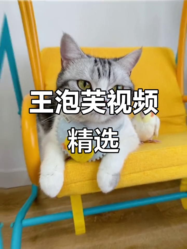 王泡芙的精彩瞬间,不容错过!