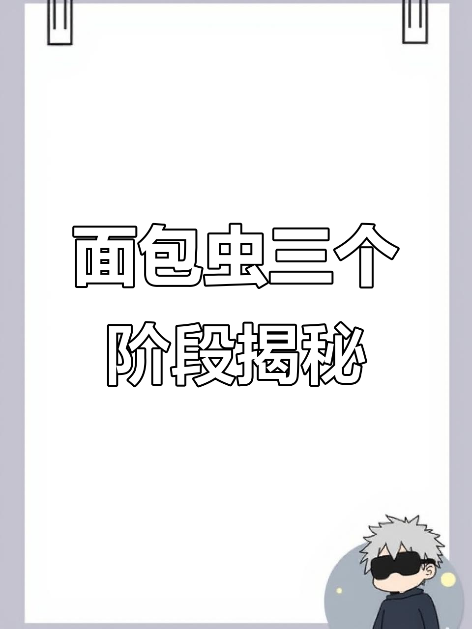 面包虫成长全纪录：从幼虫到成虫的蜕变过程