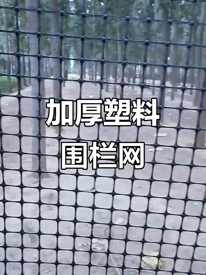 养殖专用加厚塑料网,三厘米网格防鸡鸭鹅逃逸