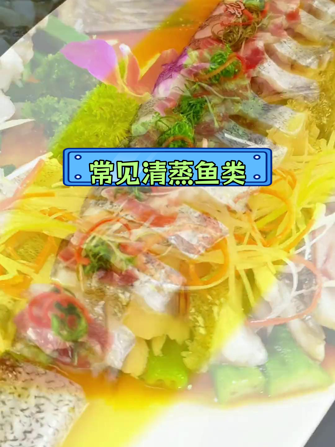 清蒸鱼适合哪些种类