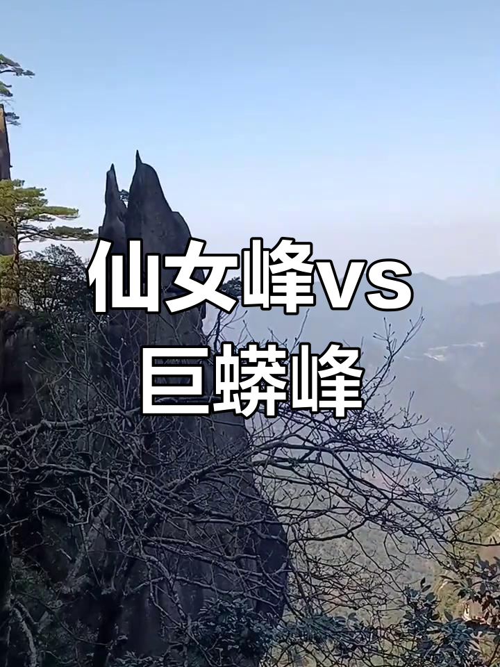 三清山仙女峰与巨蟒峰,武夷玉女大王峰对比