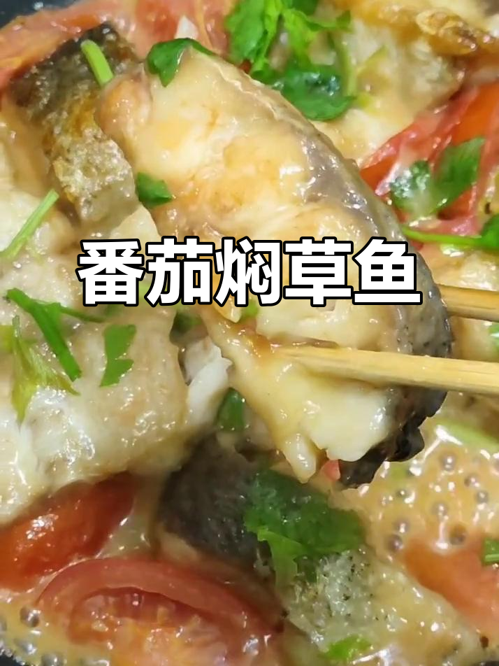 酸甜草鱼块,番茄焖出美味新高度