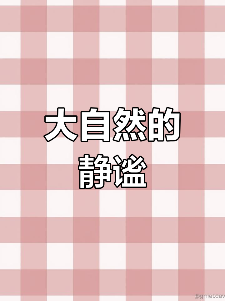 感受自然之声,手机记录竹鸡的美丽与宁静