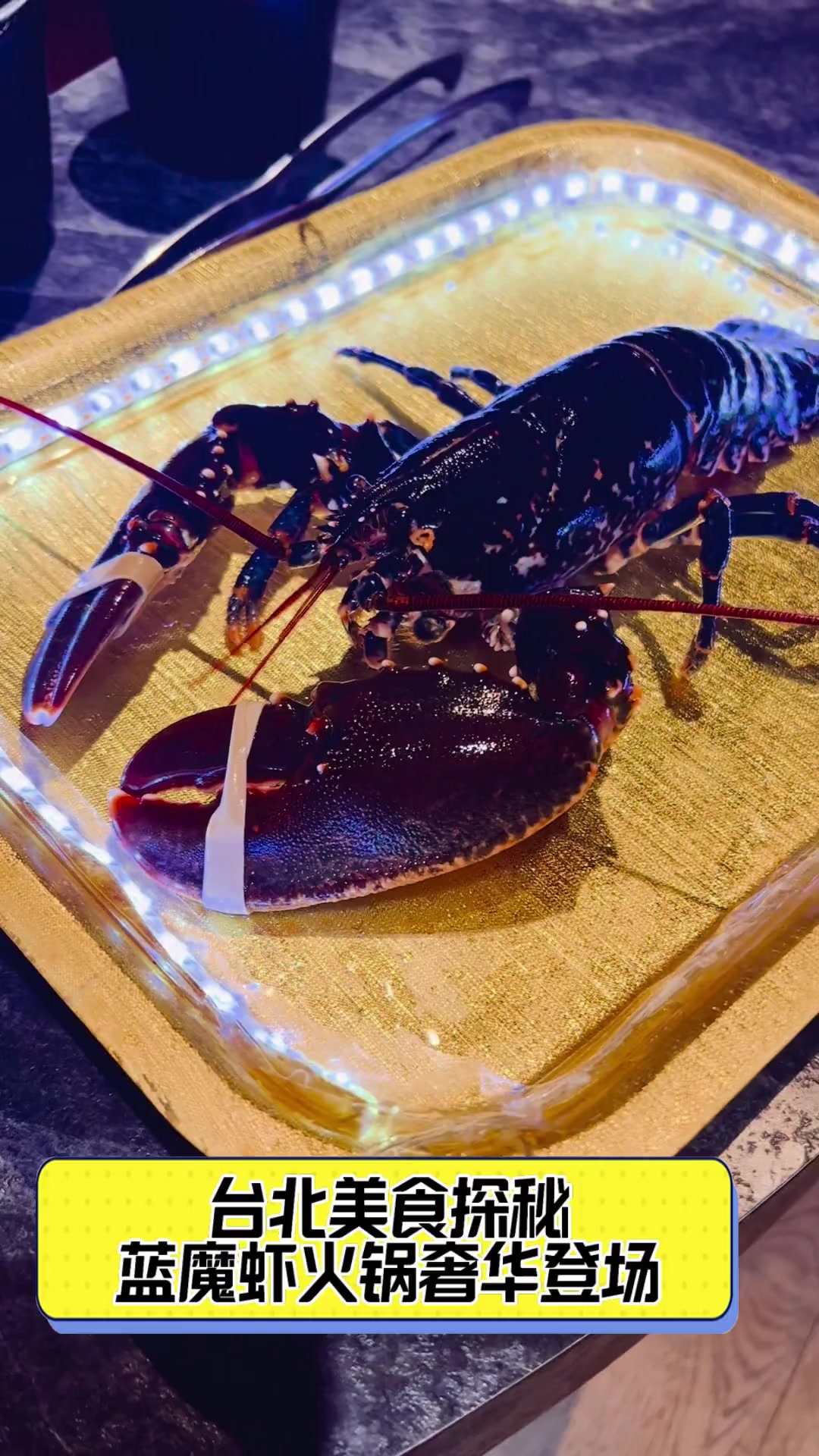 台北美食探秘,蓝魔虾火锅奢华登场