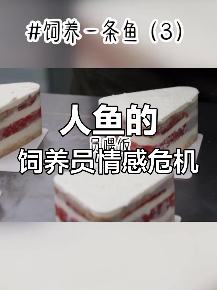 美人鱼被捕获后,饲养员竟然对她有了感情!