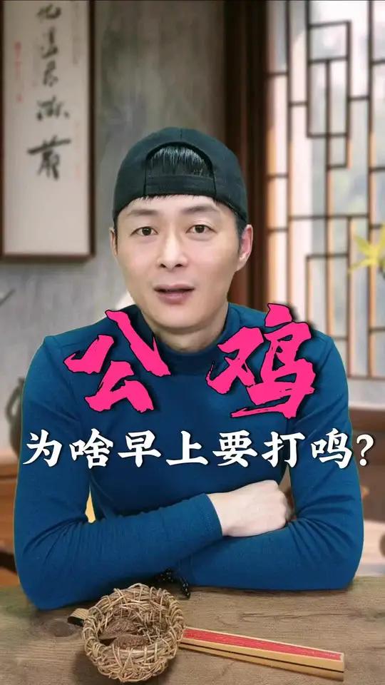 公鸡为什么每天早上要打鸣呢?这个故事里面有什么隐喻