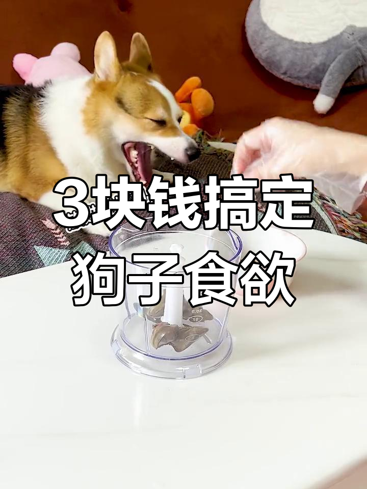 自制鸡肝粉,轻松解决狗狗挑食问题