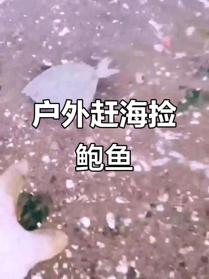 赶海抓海鲜,多宝鱼成群结队!