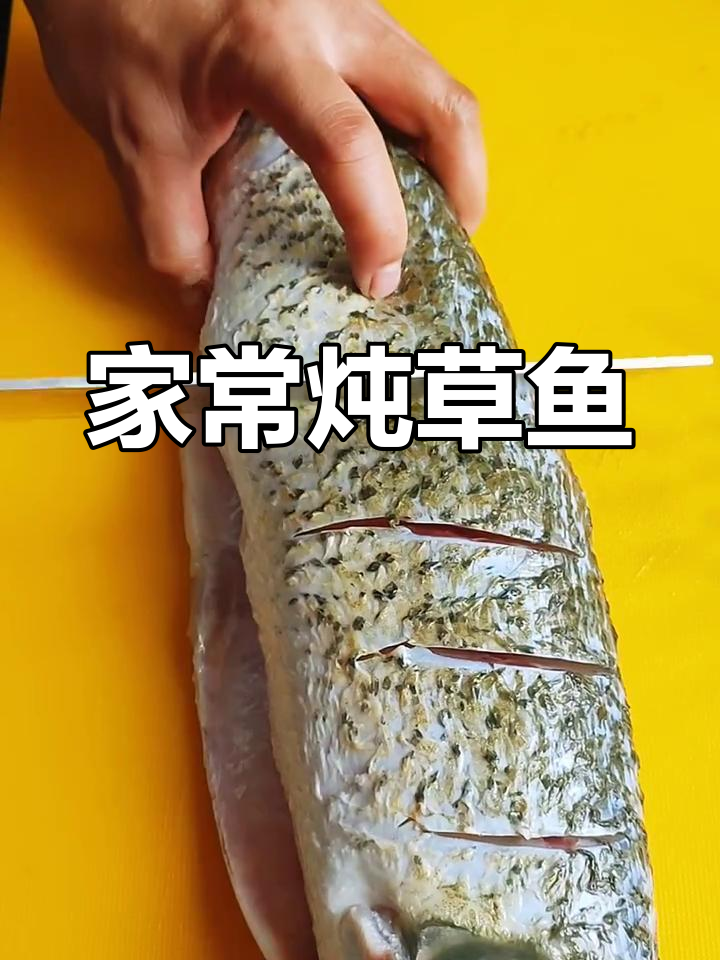 家常炖草鱼,简单又美味!教你轻松做出鲜香四溢的鱼肉