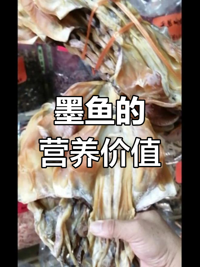 墨鱼滋补功效多,抗癌美容佳选